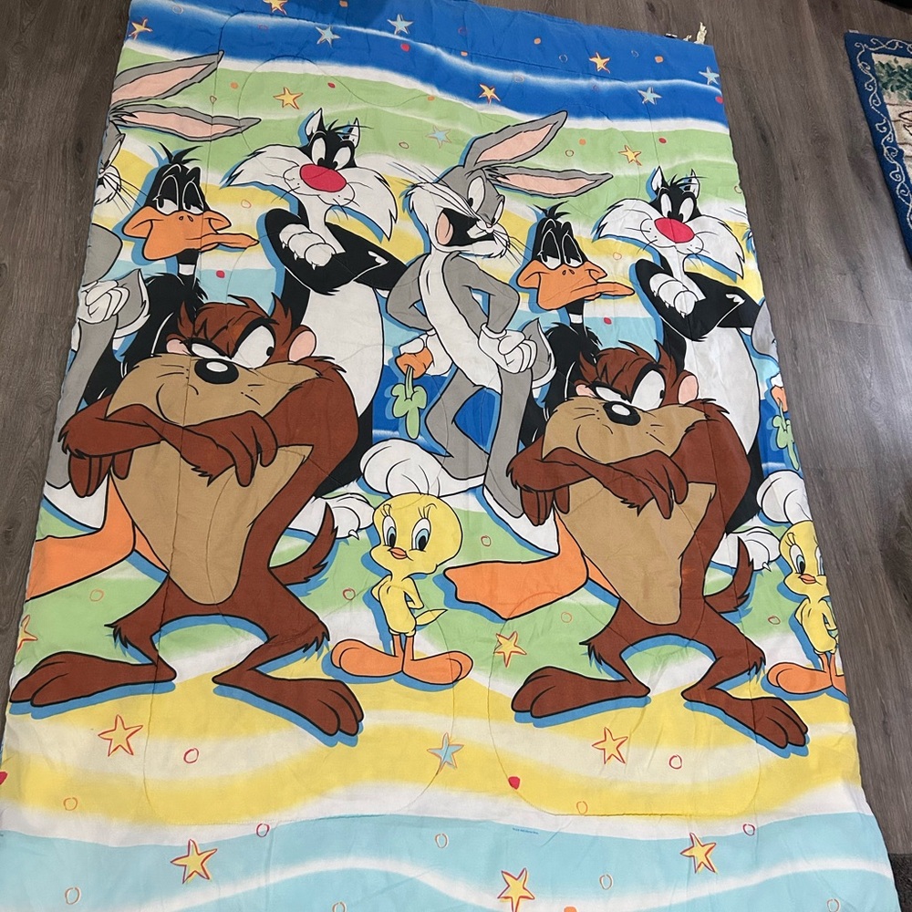 Vintage Warner Bros Looney Tunes Bedspread Twin Bugs Taz Sylvester Tweety Daffy